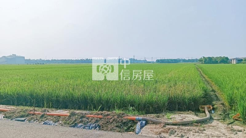 斗南南勢段農地C房屋室內格局與周邊環境