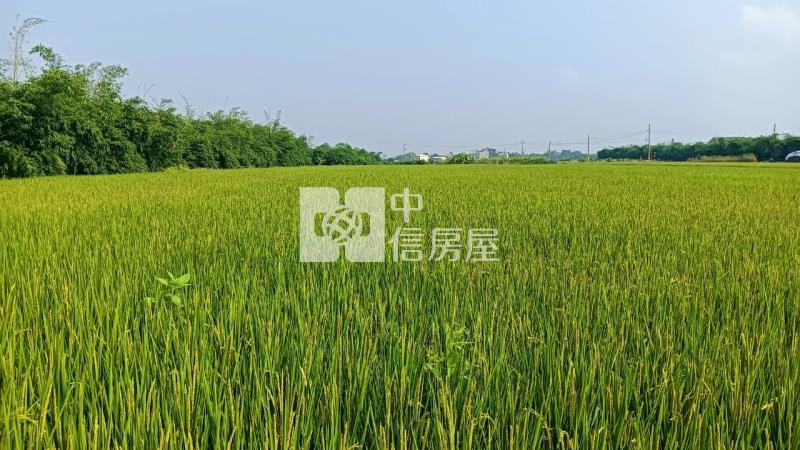 斗南南勢段農地C房屋室內格局與周邊環境