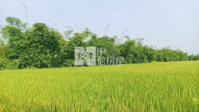 斗南南勢段農地C房屋室內格局與周邊環境