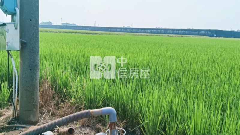 斗南石龜溪段農地房屋室內格局與周邊環境