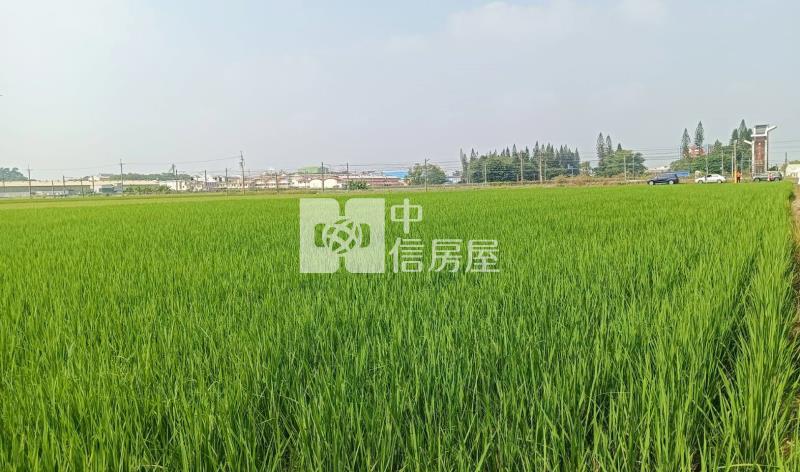 斗南石龜溪段農地房屋室內格局與周邊環境