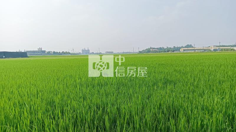 斗南石龜溪段農地房屋室內格局與周邊環境