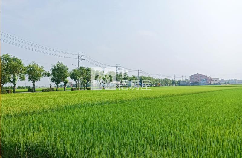 斗南石龜溪段農地房屋室內格局與周邊環境