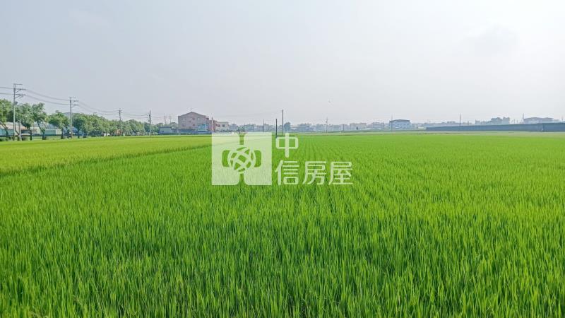 斗南石龜溪段農地房屋室內格局與周邊環境