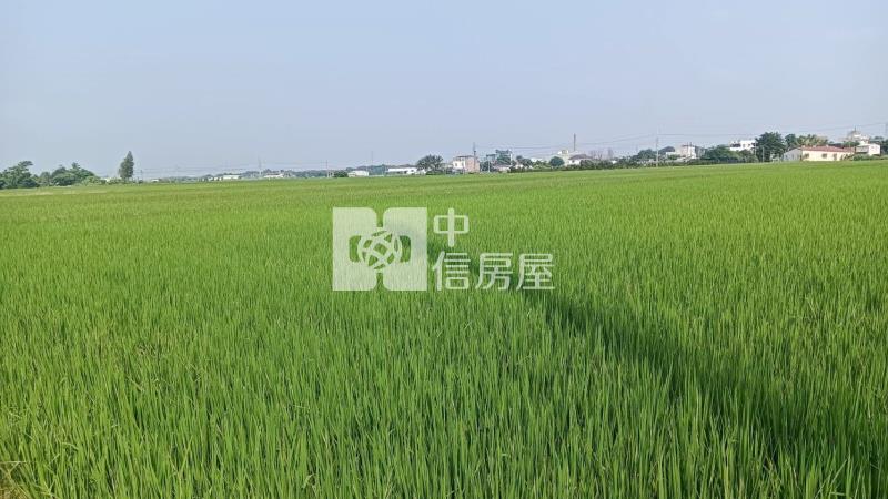 斗南林子段農地B房屋室內格局與周邊環境