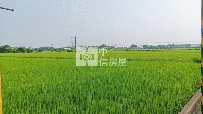 斗南林子段農地B房屋室內格局與周邊環境