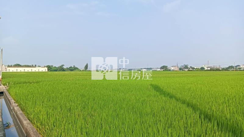 斗南林子段農地B房屋室內格局與周邊環境