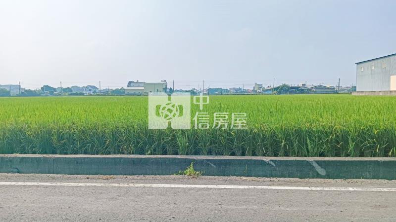 斗南林子段農地B房屋室內格局與周邊環境
