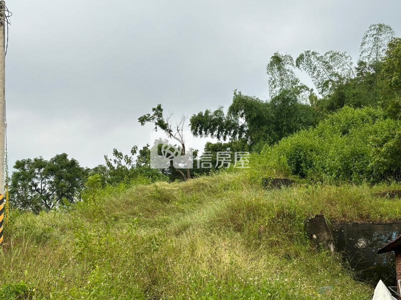 杉林視野好乙種建地房屋室內格局與周邊環境