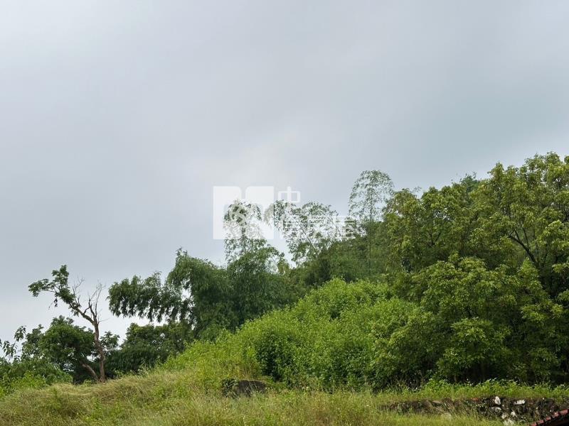 杉林視野好乙種建地房屋室內格局與周邊環境