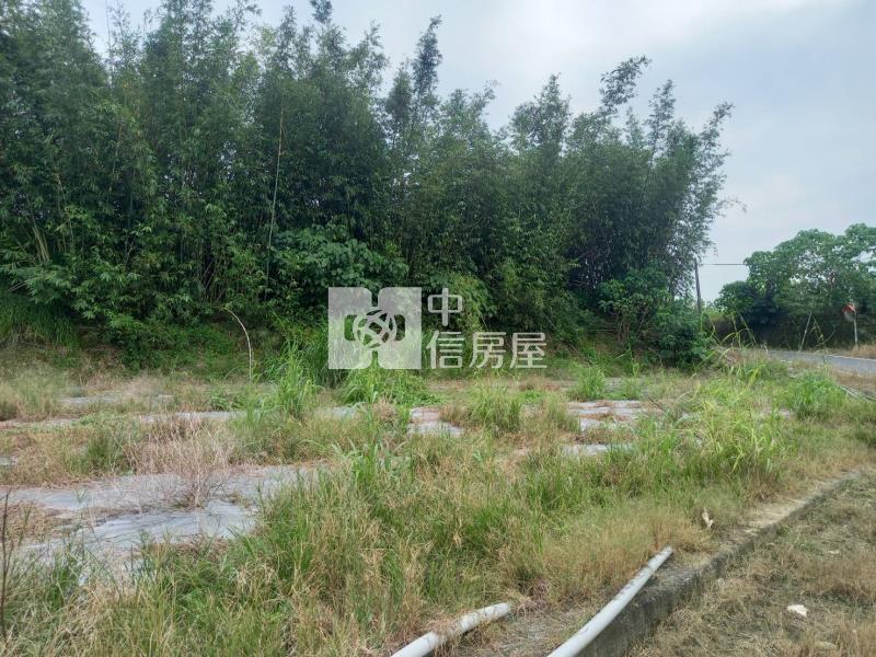 玉井口宵里2.37分平坦農地房屋室內格局與周邊環境