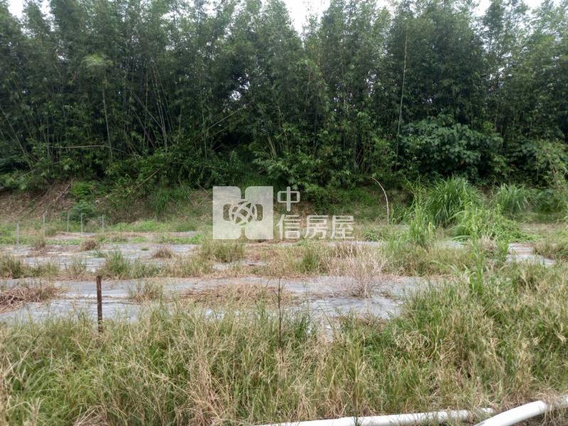 玉井口宵里2.37分平坦農地房屋室內格局與周邊環境
