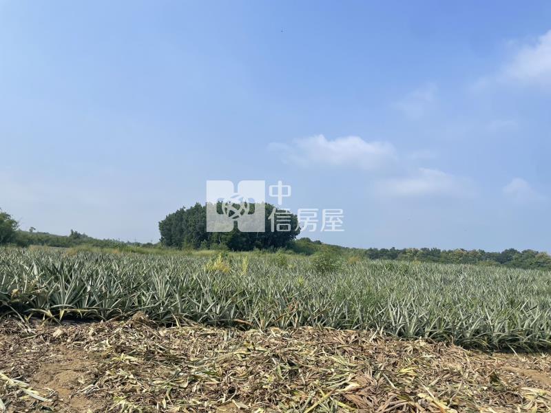 關廟深坑子1.23甲美農地房屋室內格局與周邊環境
