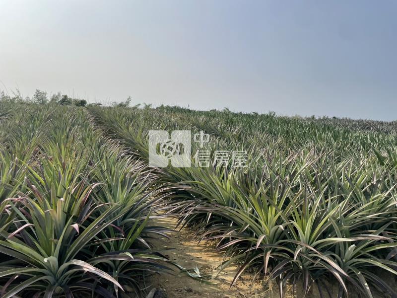 關廟深坑子1.23甲美農地房屋室內格局與周邊環境
