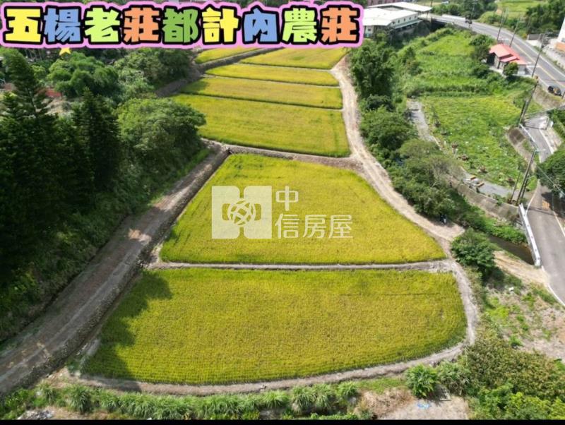 楊梅五楊老莊都內農場房屋室內格局與周邊環境