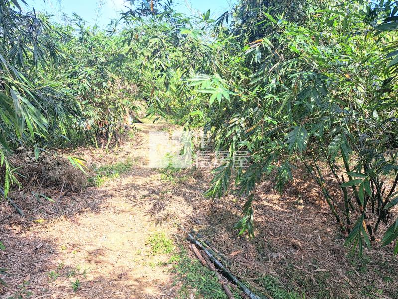 關廟旺萊休閒美農地房屋室內格局與周邊環境