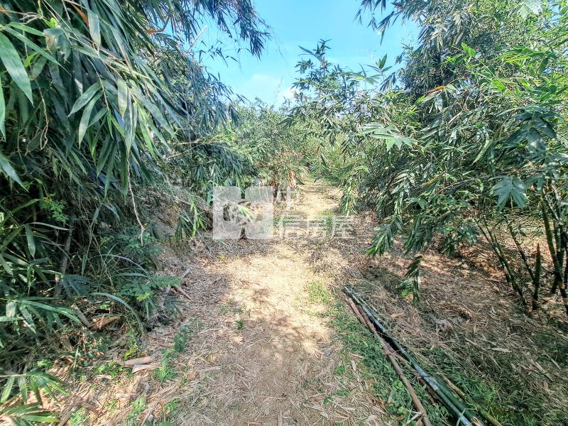 關廟旺萊休閒美農地房屋室內格局與周邊環境