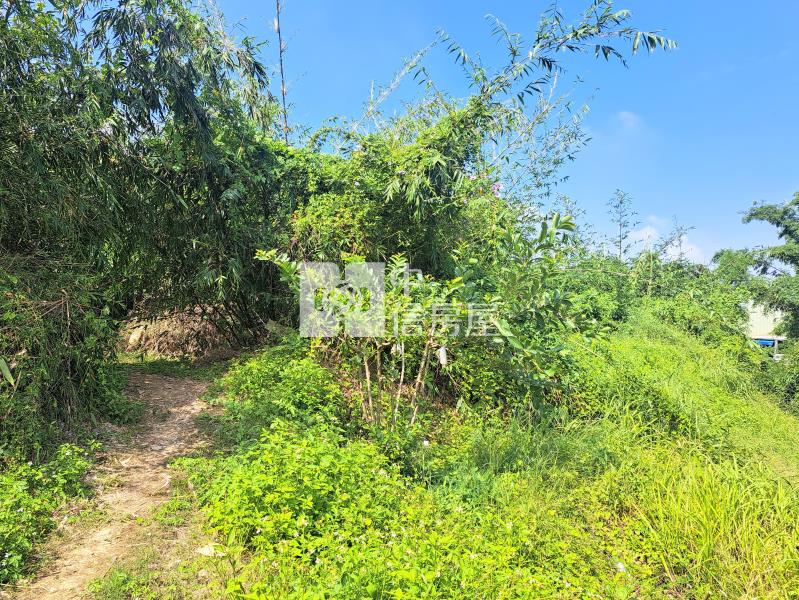 關廟旺萊休閒美農地房屋室內格局與周邊環境