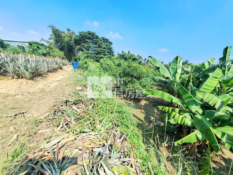 關廟旺萊休閒美農地房屋室內格局與周邊環境