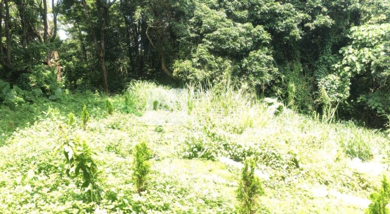 彰化芬園新舊社山坡農地房屋室內格局與周邊環境
