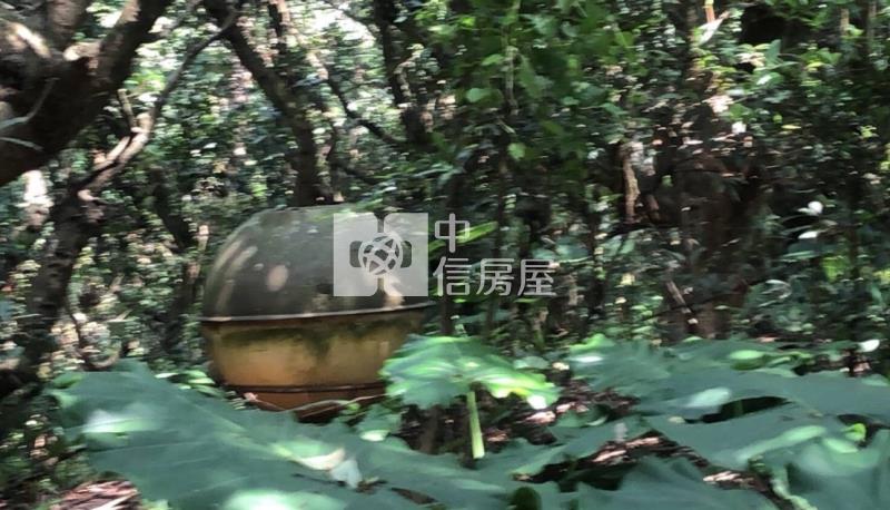 彰化芬園新舊社山坡農地房屋室內格局與周邊環境