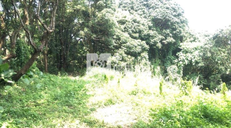 彰化芬園新舊社山坡農地房屋室內格局與周邊環境