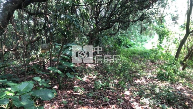 彰化芬園新舊社山坡農地房屋室內格局與周邊環境