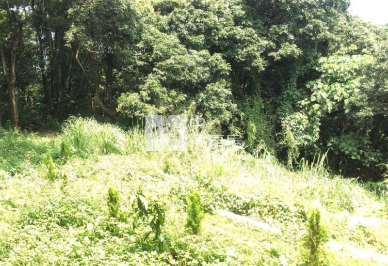 彰化芬園新舊社山坡農地房屋室內格局與周邊環境