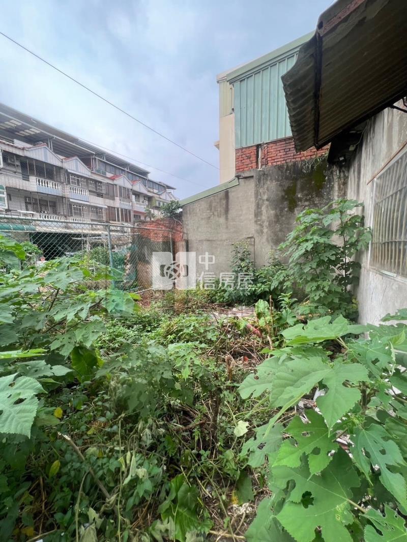 【豐禾】忠貞國小大地坪買地邊間透天房屋室內格局與周邊環境