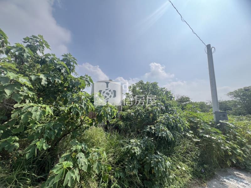 新麥寮段農地房屋室內格局與周邊環境