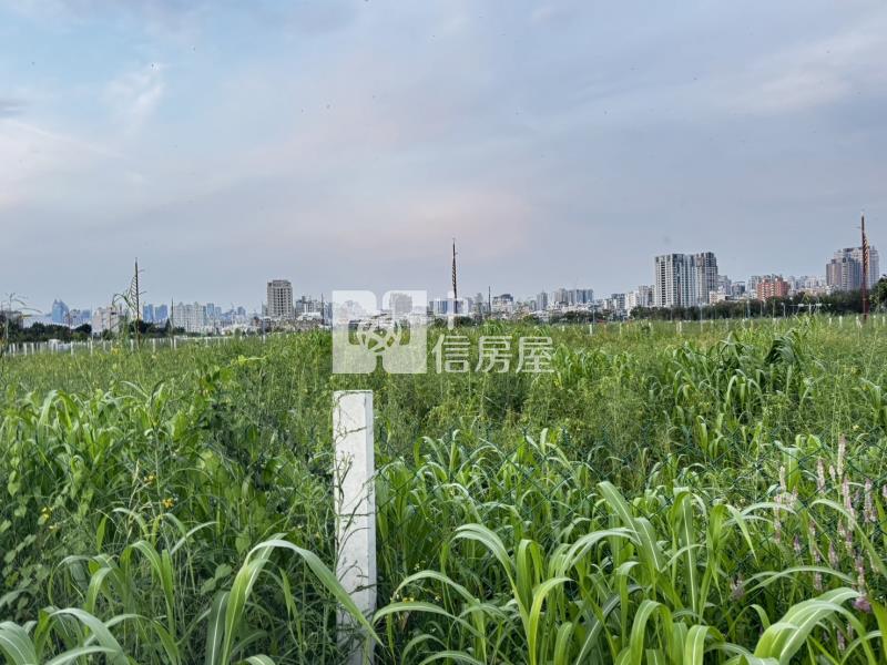 13期南屯百坪方正建地房屋室內格局與周邊環境