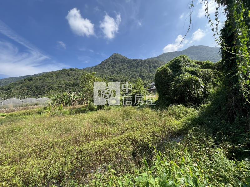 小埔社面寬田房屋室內格局與周邊環境