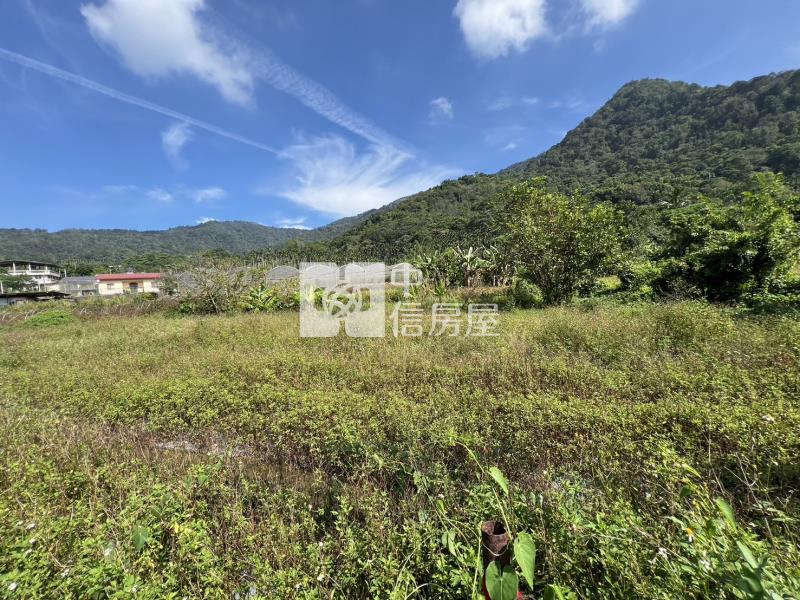 小埔社面寬田房屋室內格局與周邊環境