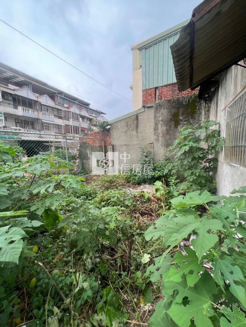 平鎮近忠貞國小邊間前後院透天房屋室內格局與周邊環境