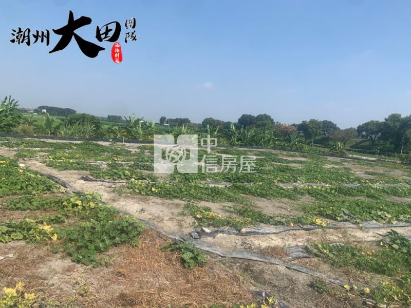 興化農地房屋室內格局與周邊環境