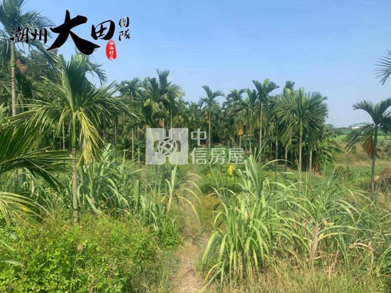 興化農地房屋室內格局與周邊環境