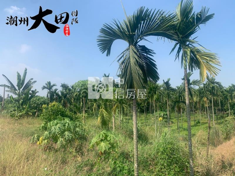 興化農地房屋室內格局與周邊環境