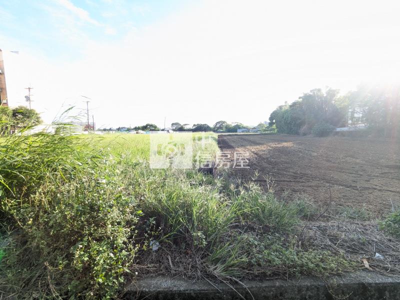 近青埔臨A19臨路8米美農地房屋室內格局與周邊環境