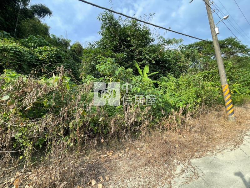 俗俗賣龍崎2分半農地(6)房屋室內格局與周邊環境
