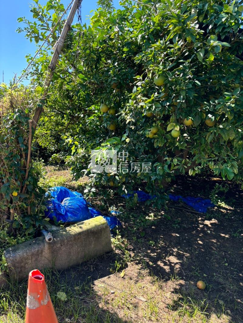 斗六瓦厝農地房屋室內格局與周邊環境