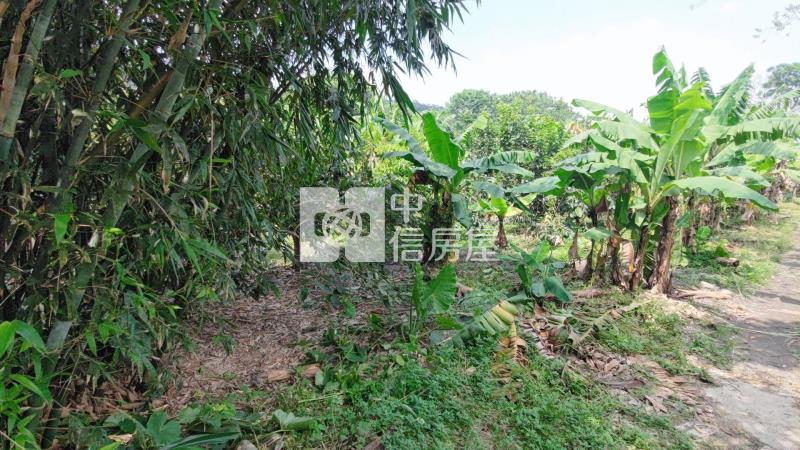大溪瑞安段正10米路旁一般農房屋室內格局與周邊環境