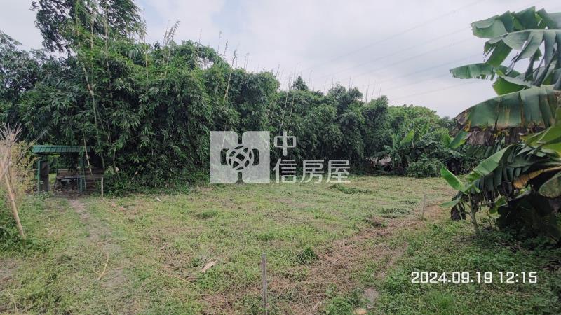 大溪瑞安段正10米路旁一般農房屋室內格局與周邊環境