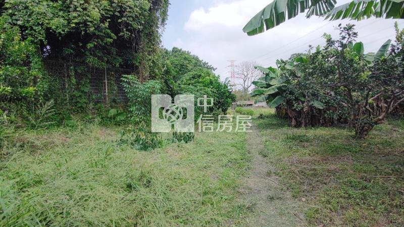 大溪瑞安段正10米路旁一般農房屋室內格局與周邊環境