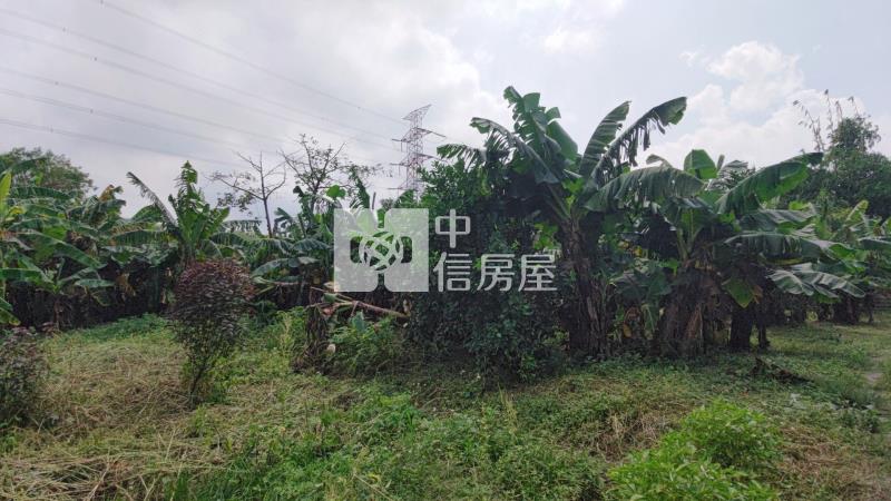 大溪瑞安段正10米路旁一般農房屋室內格局與周邊環境
