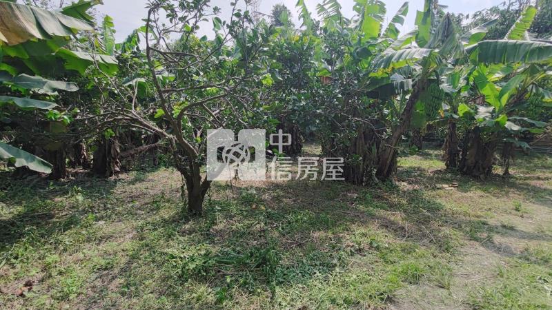 大溪瑞安段正10米路旁一般農房屋室內格局與周邊環境