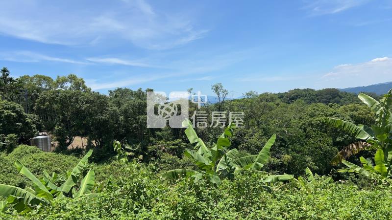 南投開心農場 !房屋室內格局與周邊環境