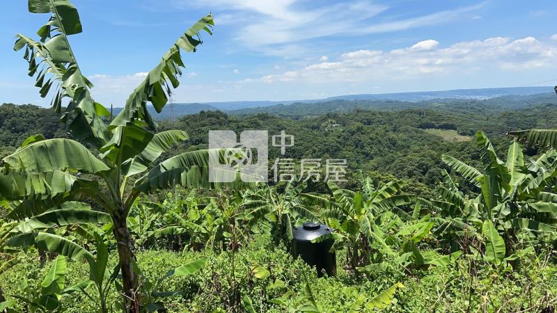 南投開心農場 !房屋室內格局與周邊環境