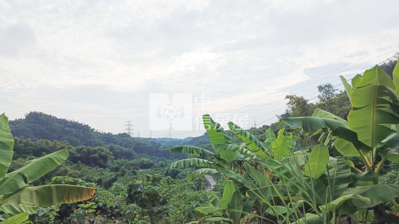 台南龍崎中坑2.6分美農地(1)房屋室內格局與周邊環境
