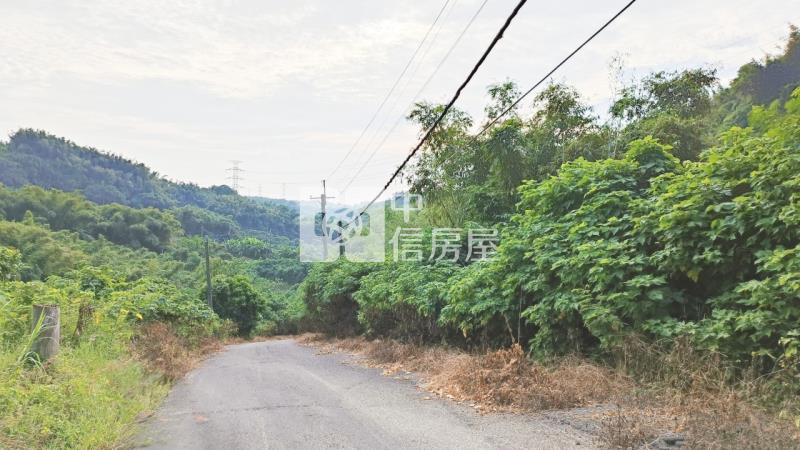 台南龍崎中坑2.6分美農地(2)房屋室內格局與周邊環境