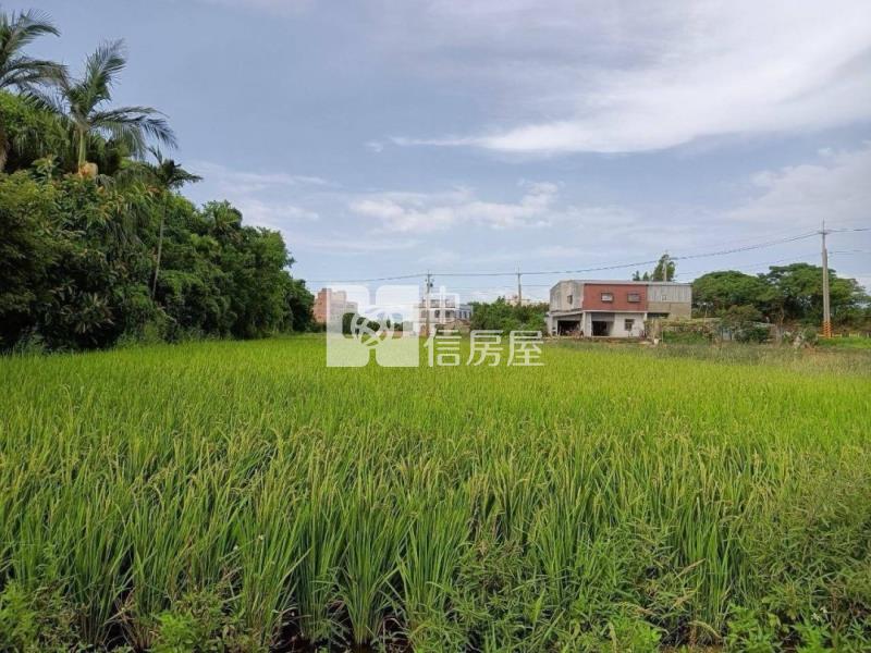 新坡蓮花園區農地房屋室內格局與周邊環境